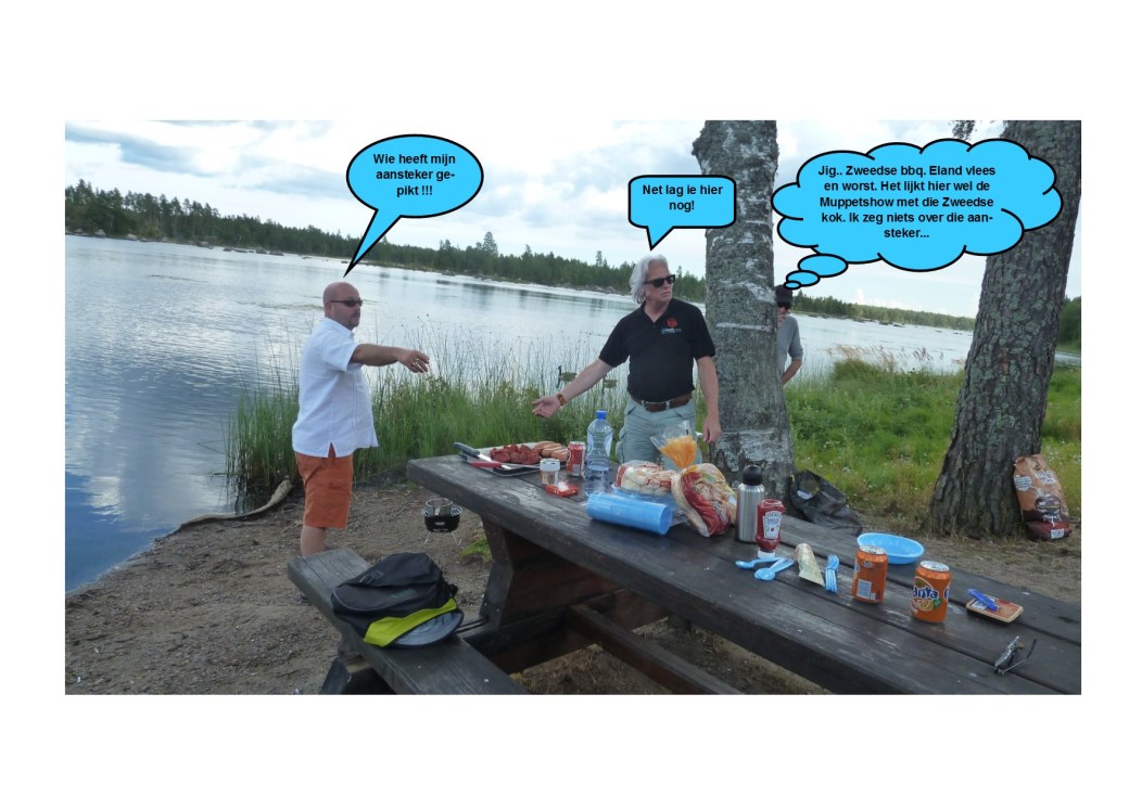 Zweedse BBQ00