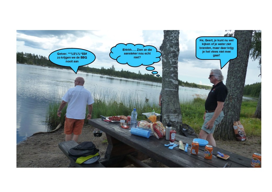 Zweedse BBQ01