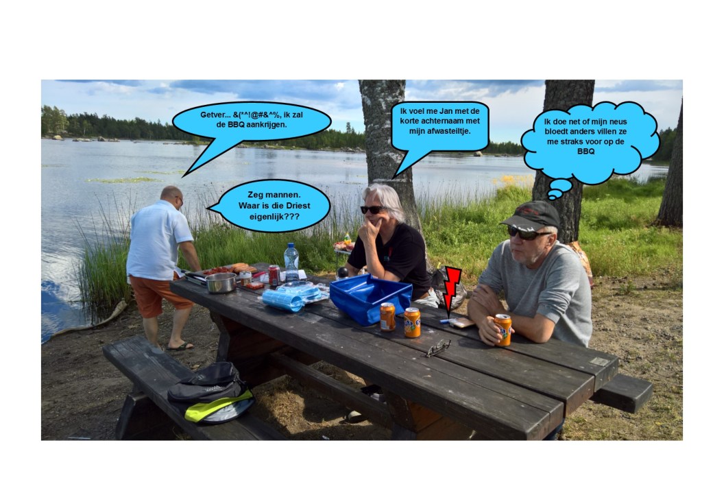 Zweedse BBQ04